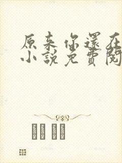 原来你还在这里小说免费阅读