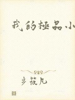 我的极品小姨封面