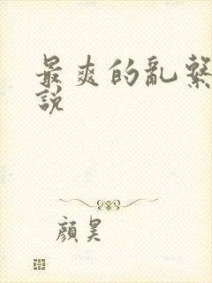 最爽的乱系列小说封面