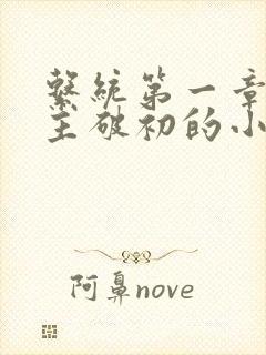 系统第一章给宿主破初的小说