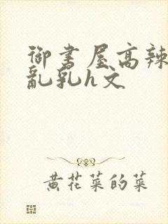 御书屋高辣h文乱乳h文