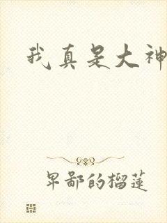 我真是大神医封面