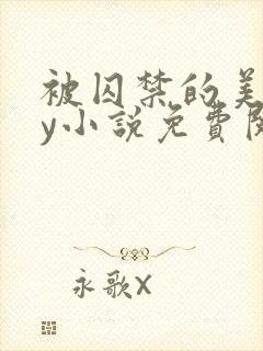 被囚禁的美人by小说免费阅读