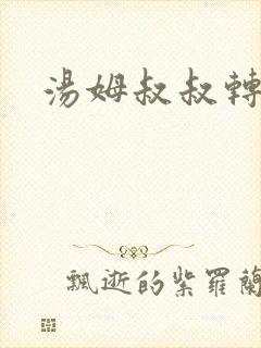 汤姆叔叔转接口