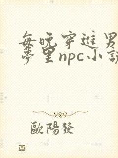 每晚穿进男神的梦里npc小说封面