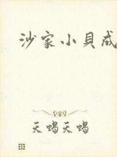 沙家小贝成长记封面