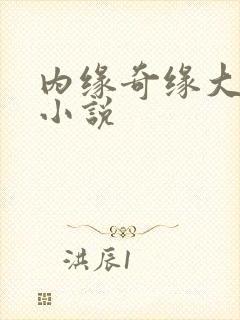 内缘奇缘大团圆小说
