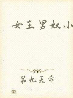 女王男奴小说封面