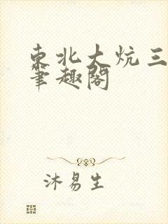 东北大炕三部曲笔趣阁
