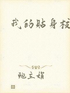 我的贴身校花封面