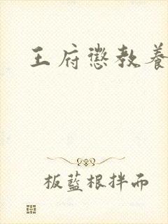 王府惩教养日常封面