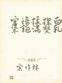 官场揉捏白嫩高耸饱满双乳封面