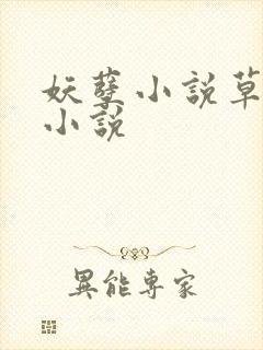 妖孽小说草莓酱小说