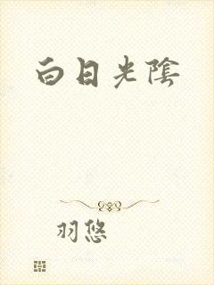 白日光阴封面
