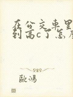 在公交车里c弄到高c了怎么办封面