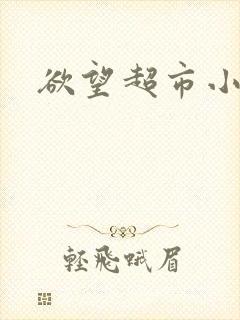 欲望超市小说