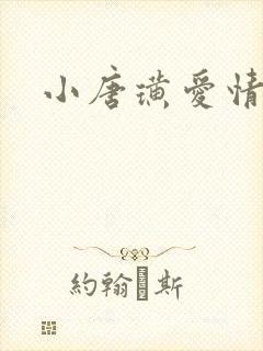 小唐璜爱情历史封面