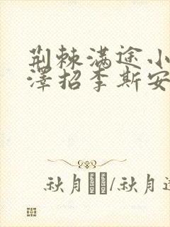 荆棘满途小说李泽招李斯安封面