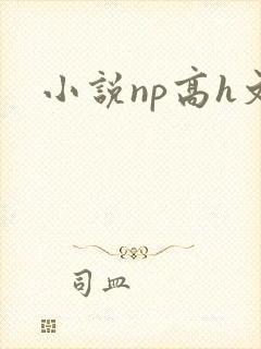 小说np高h文