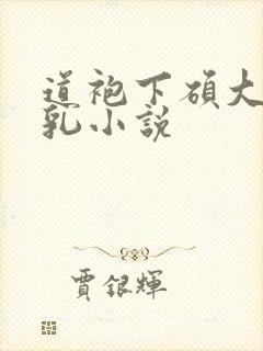 道袍下硕大的双乳小说封面