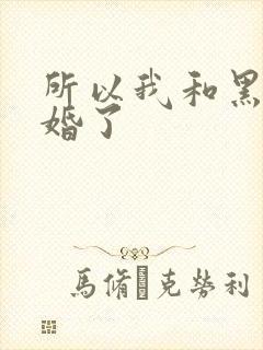 所以我和黑粉结婚了