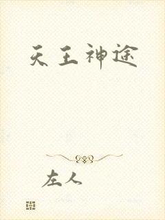 天王神途封面