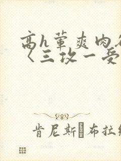 高h荤爽肉欲文〈三攻一受