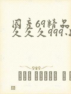 国产69精品久久久久999小说封面