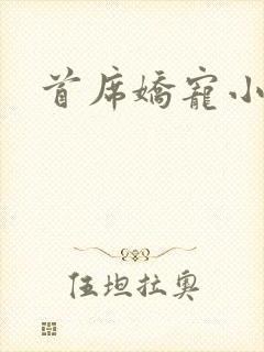 首席娇宠小情人