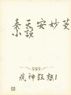 秦天安妙菱修仙小说