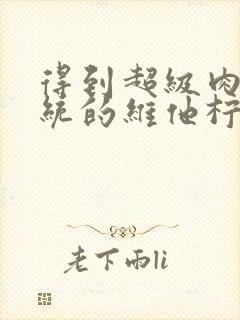 得到超级肉禽系统的维他柠檬茶