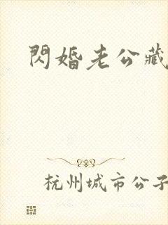 闪婚老公藏不住封面