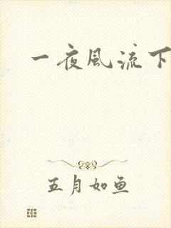 一夜风流下载