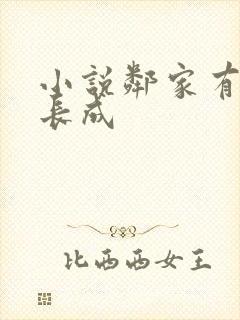 小说邻家有女初长成封面