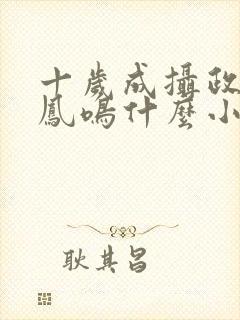 十岁成摄政王白凤鸣什么小说封面