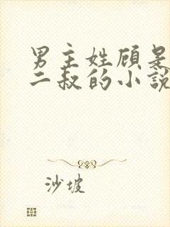 男主姓顾是女主二叔的小说封面