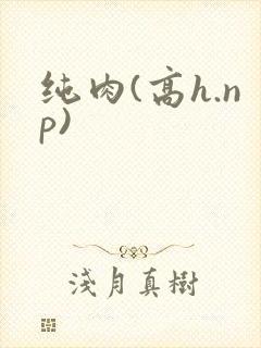纯肉(高h.np)