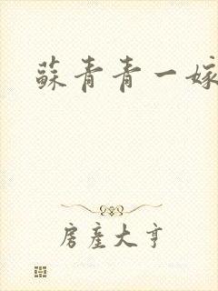 苏青青一嫁三夫