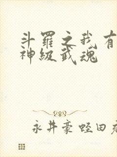 斗罗之我有十大神级武魂