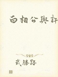 白相公与许娘子封面