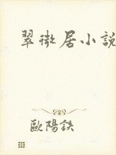 翠微居小说