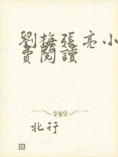 刘梅张亮小说免费阅读