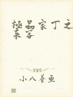 极品家丁之远方来客