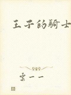 王子的骑士小说