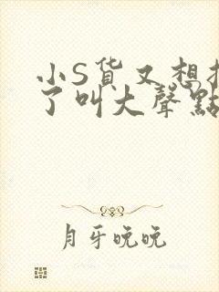 小S货又想挨C了叫大声点小