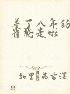 养了八年的金丝雀飞走啦