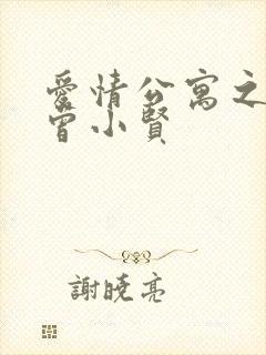 爱情公寓之极品曾小贤