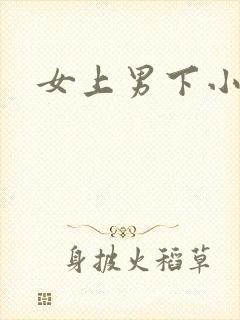 女上男下小说