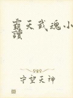 霸天武魂小说阅读