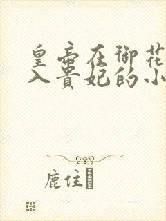 皇帝在御花园进入贵妃的小说